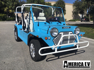 affordable golf cart rental, golf cart rent fort pierce, cart rental fort pierce