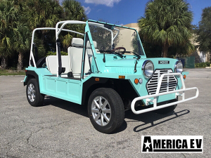 affordable golf cart rental, golf cart rent fort pierce, cart rental fort pierce